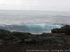 DSC02646_DxO