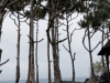 DSC02647_DxO