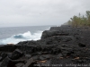 DSC02654_DxO