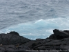 DSC02666_DxO