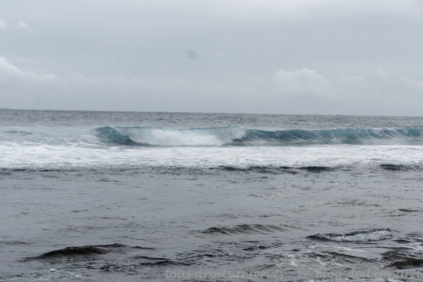 DSC02678_DxO