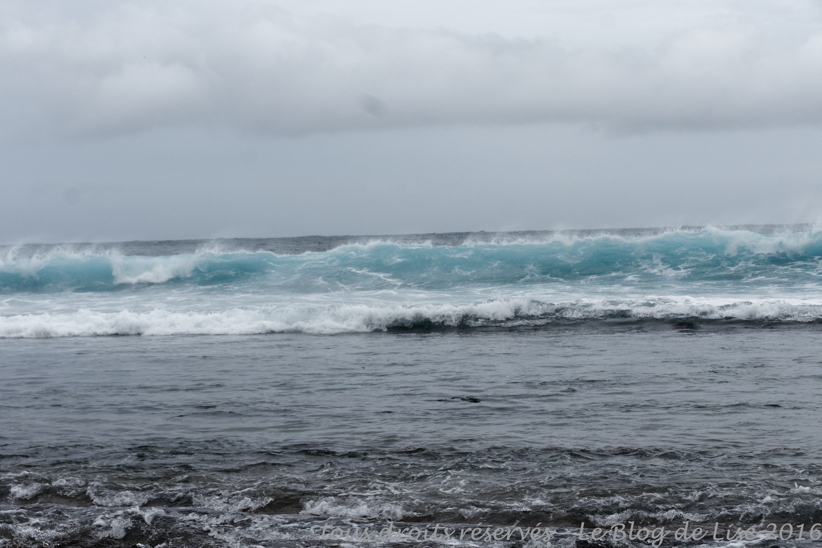 DSC02680_DxO
