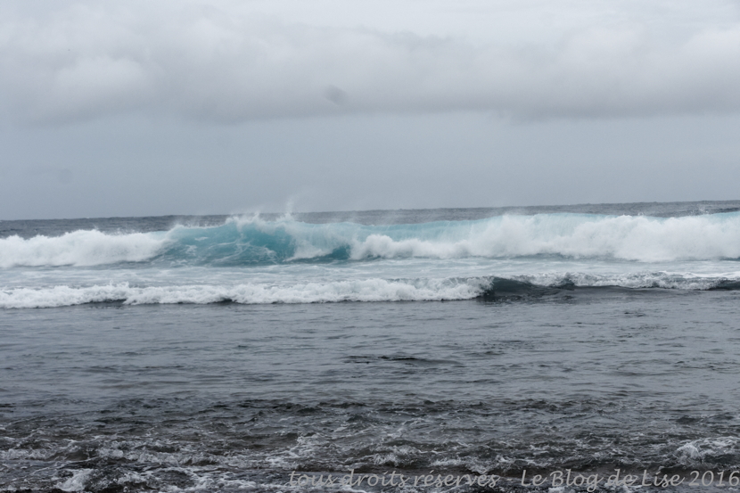 DSC02681_DxO