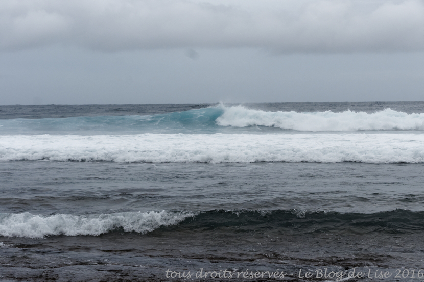 DSC02682_DxO