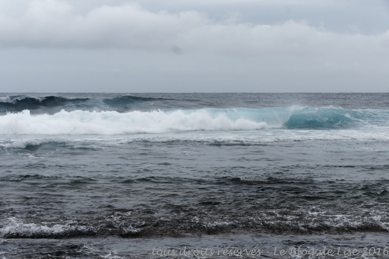 DSC02683_DxO