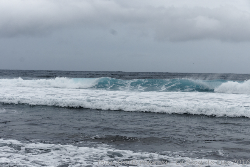 DSC02685_DxO