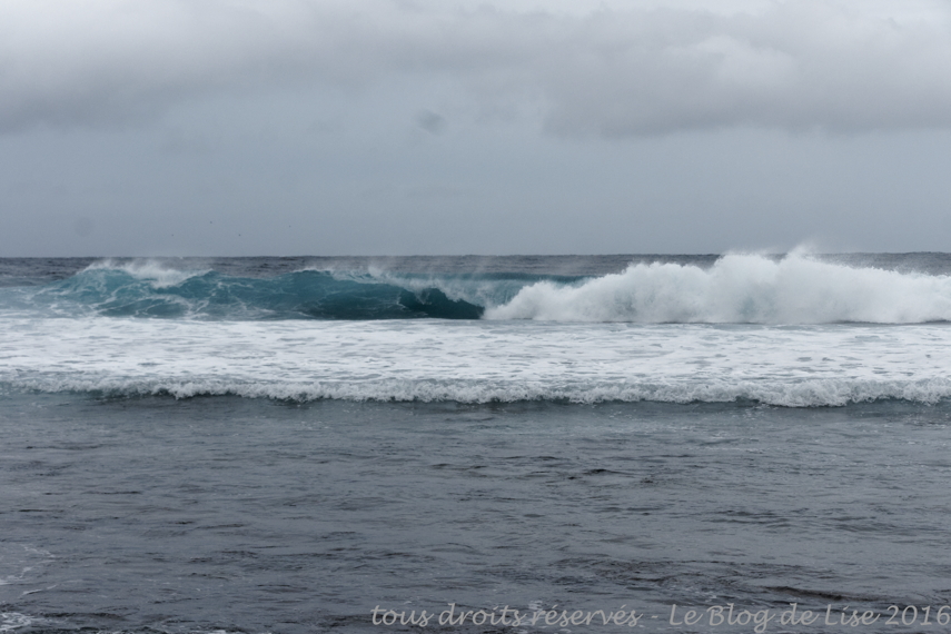 DSC02687_DxO