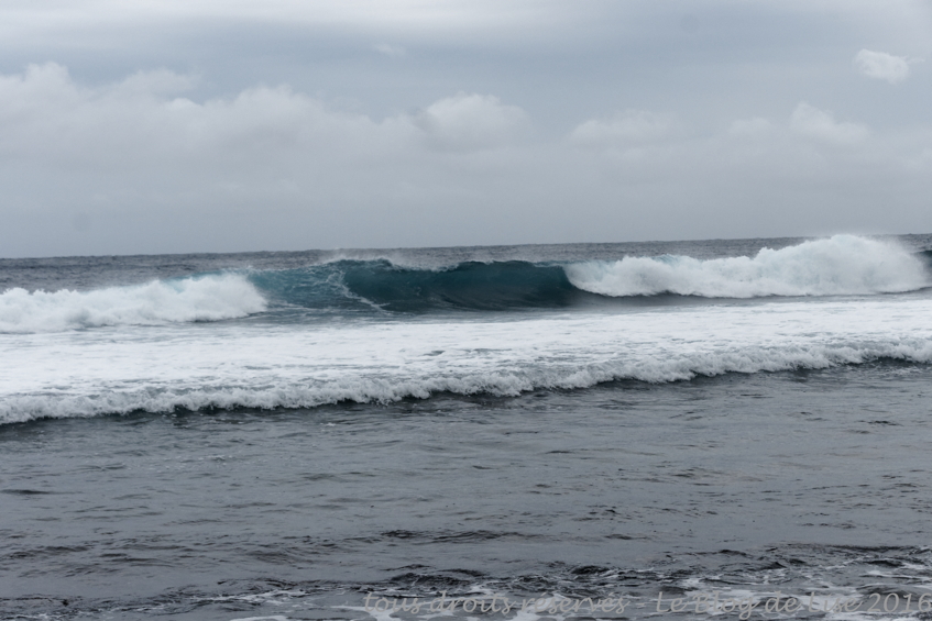 DSC02688_DxO