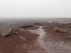 DSC02726_DxO