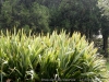 DSC02737_DxO