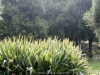 DSC02739_DxO