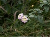 DSC02769_DxO