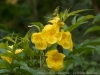 DSC02771_DxO