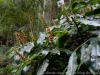 DSC02801_DxO