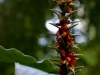 DSC02802_DxO