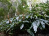 DSC02803_DxO