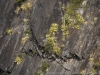 DSC02831_DxO