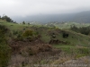DSC02837_DxO