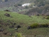 DSC02841_DxO