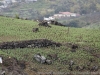 DSC02842_DxO
