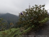 DSC02867_DxO