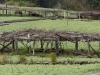 DSC02878_DxO