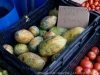 DSC02903_DxO