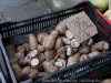DSC02904_DxO