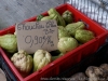 DSC02905_DxO