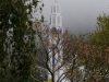 DSC02909_DxO