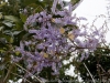 DSC02926_DxO