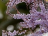DSC02928_DxO