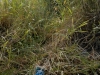 DSC02931a_DxO