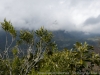DSC02951_DxO