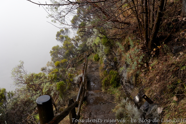 DSC02957_DxO