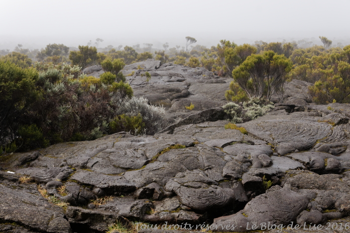 DSC02966_DxO