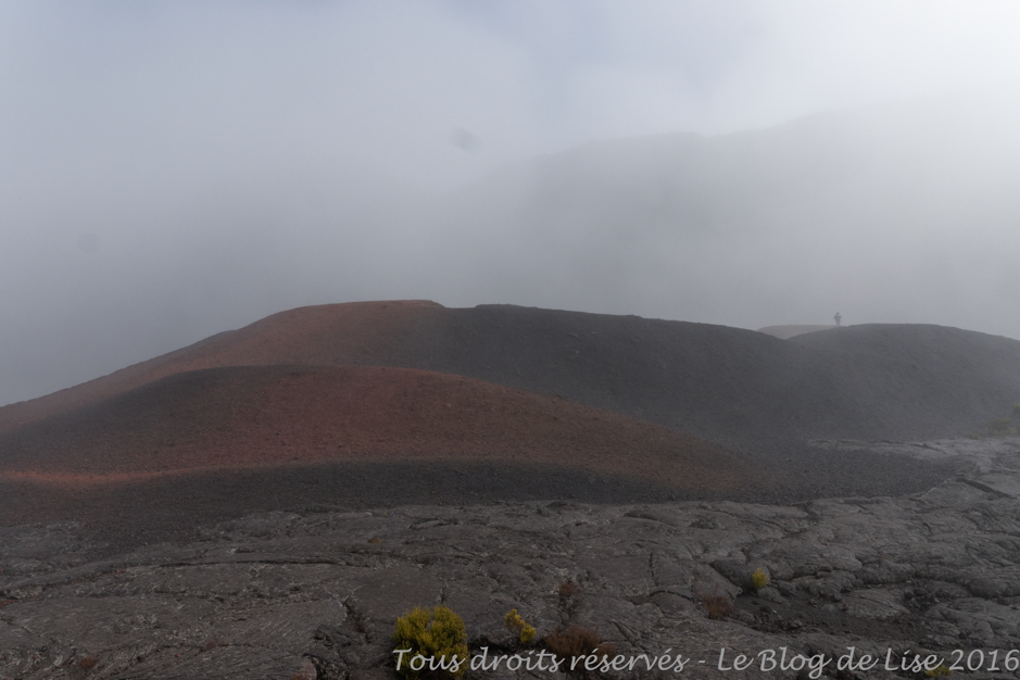DSC02969_DxO