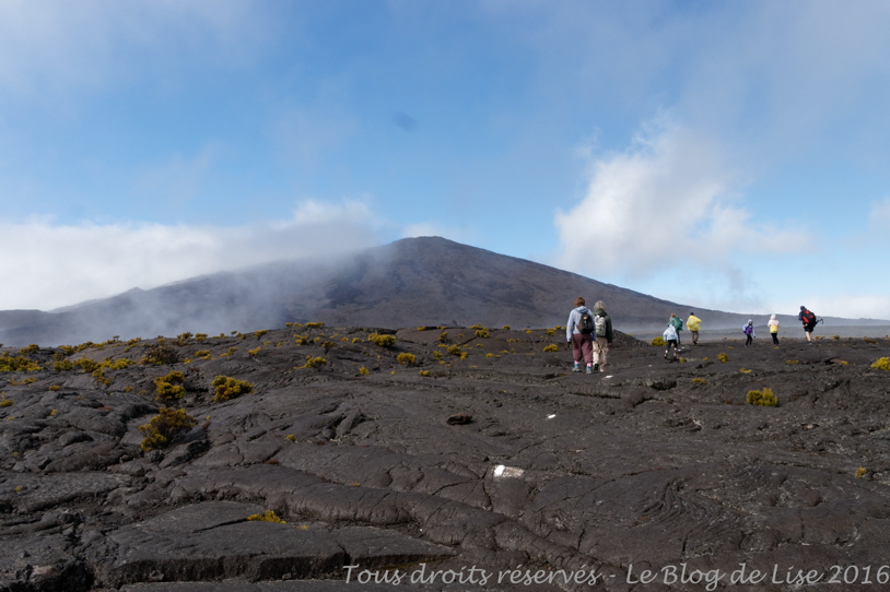 DSC02978_DxO