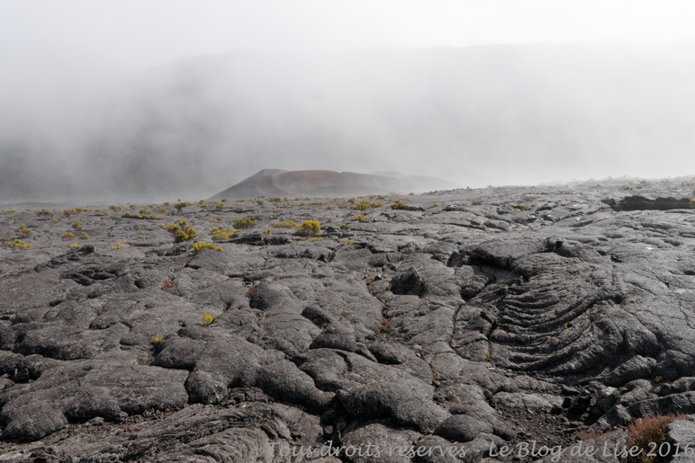 DSC02980_DxO