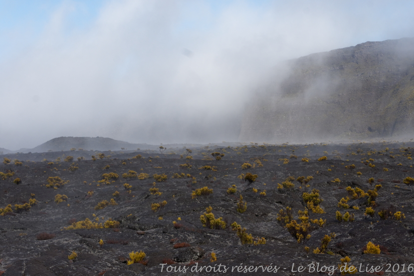 DSC02982_DxO