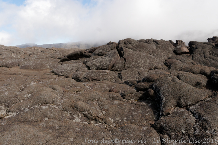 DSC02992_DxO