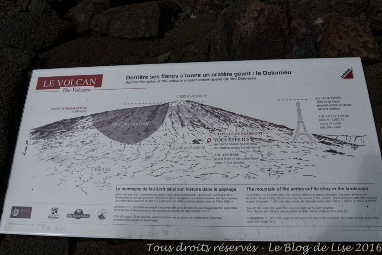 DSC02995_DxO
