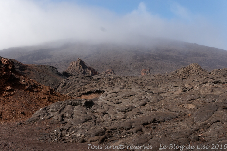 DSC03004_DxO