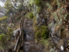 DSC02959_DxO
