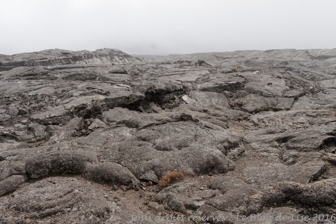 DSC03009_DxO
