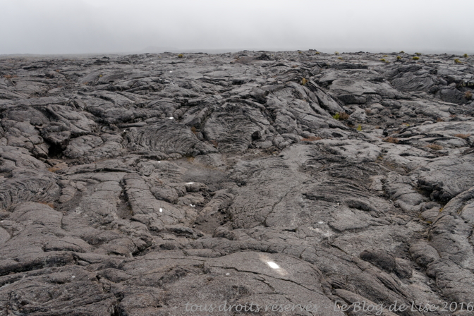 DSC03012_DxO