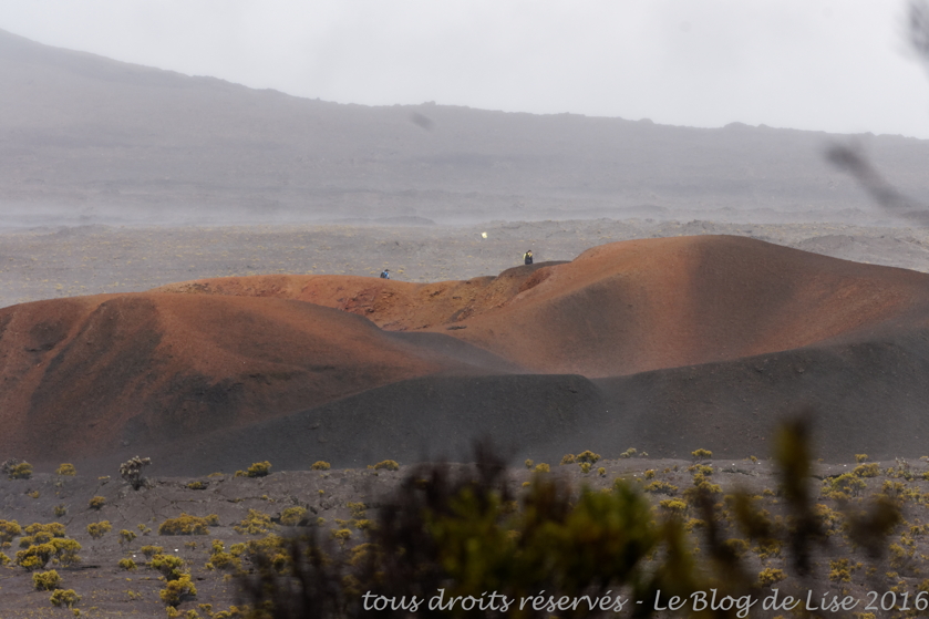 DSC03024_DxO