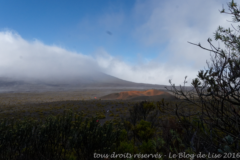 DSC03025_DxO