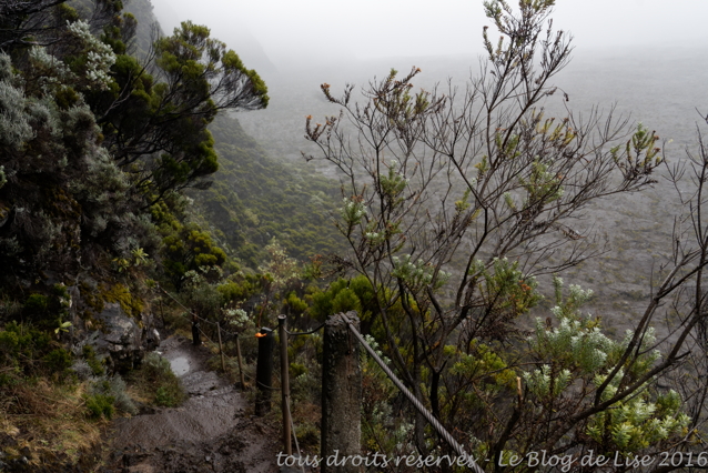 DSC03029_DxO
