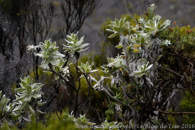 DSC03034_DxO
